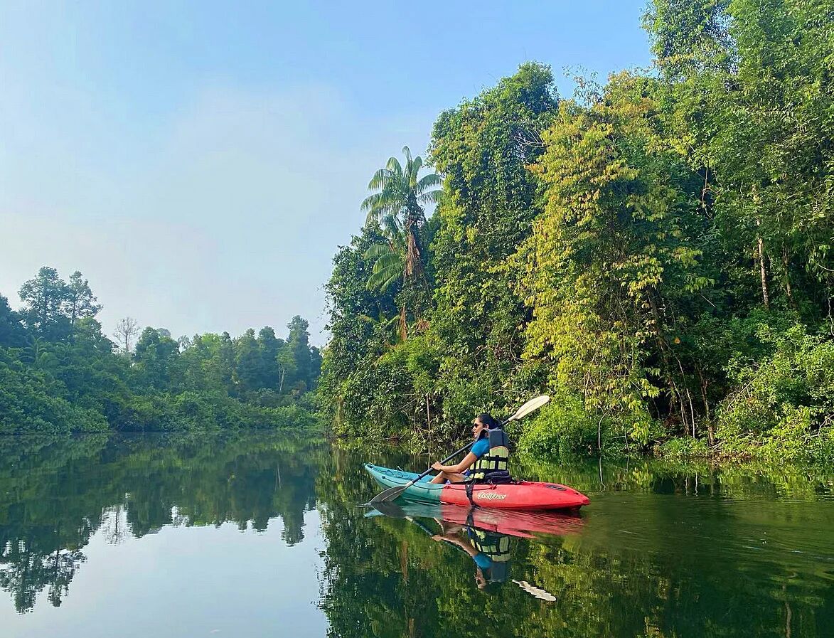 Experience the Cardamom’s adventure with weather-smart tours